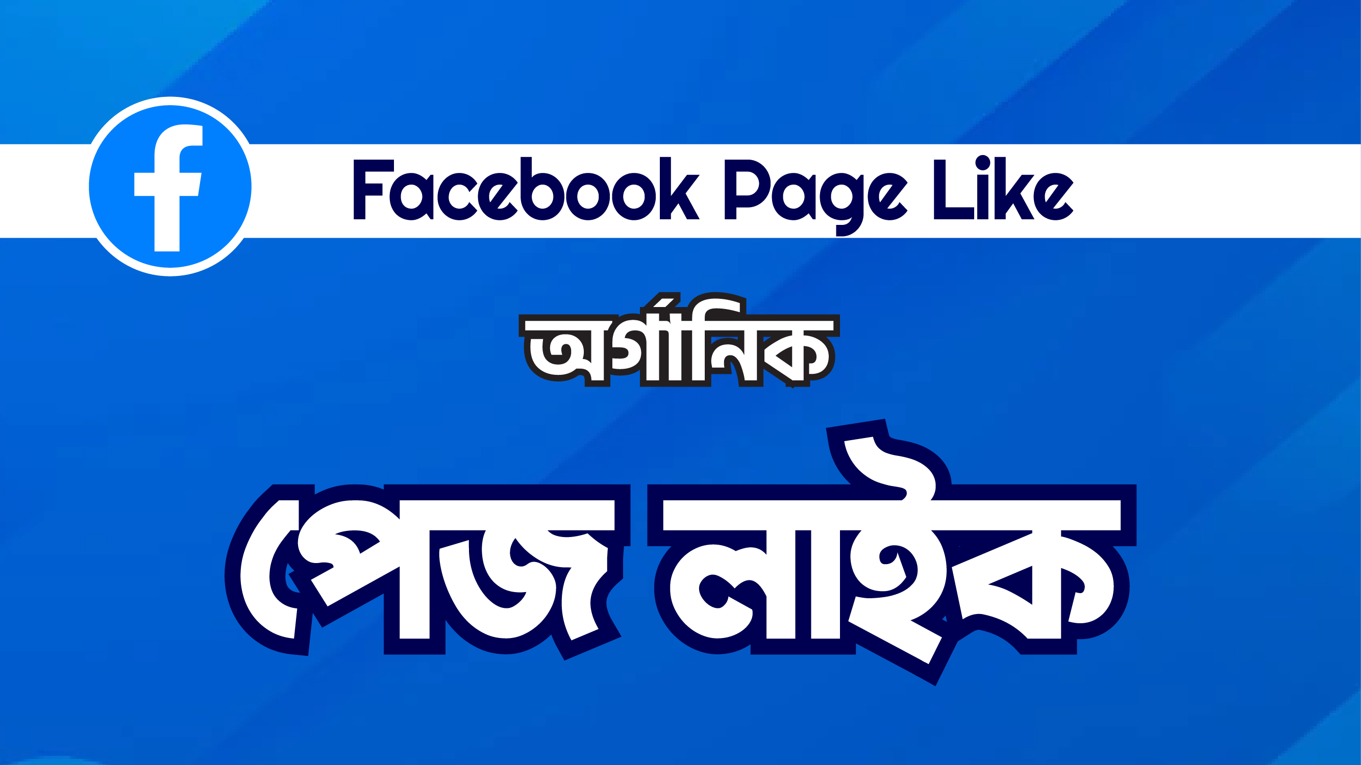 Facebook Page Like + Followers