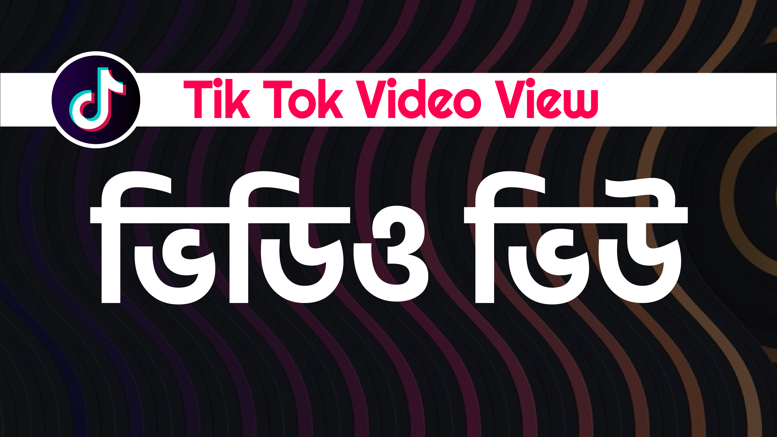 TikTok Video Views