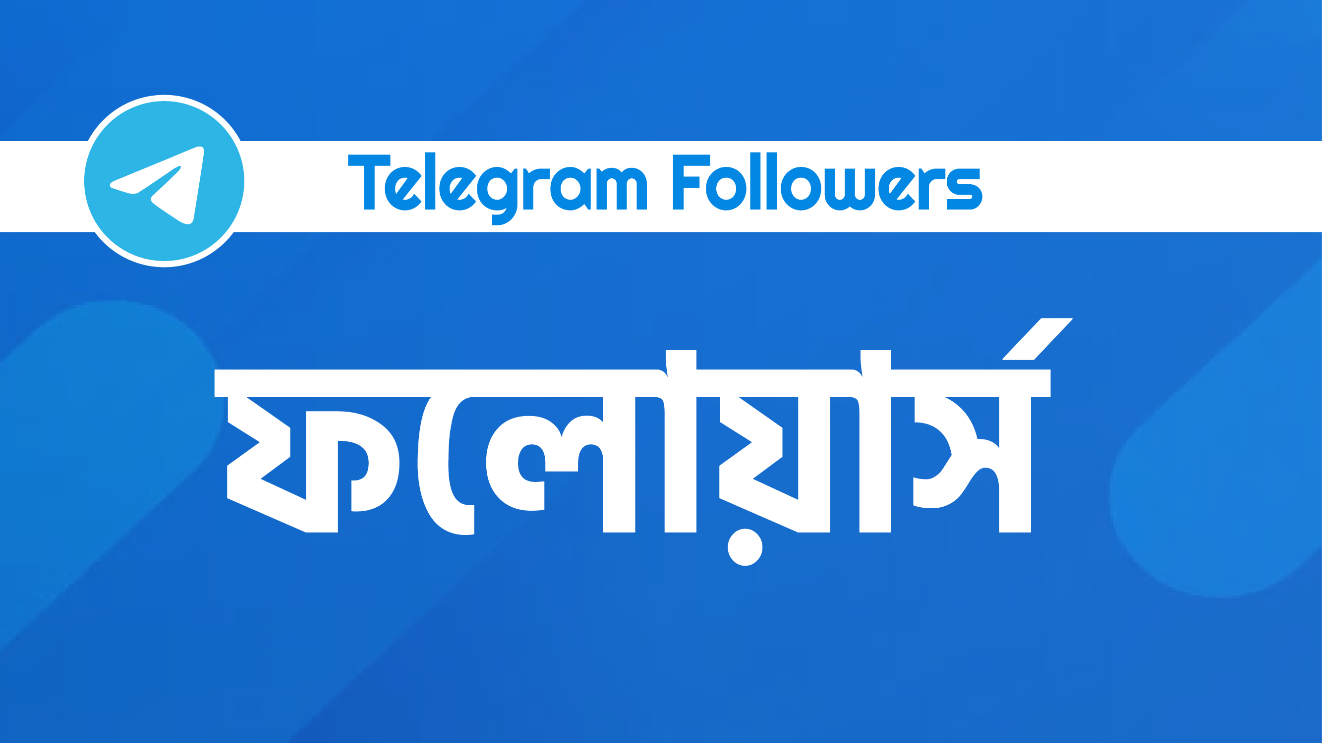 Telegram Followers