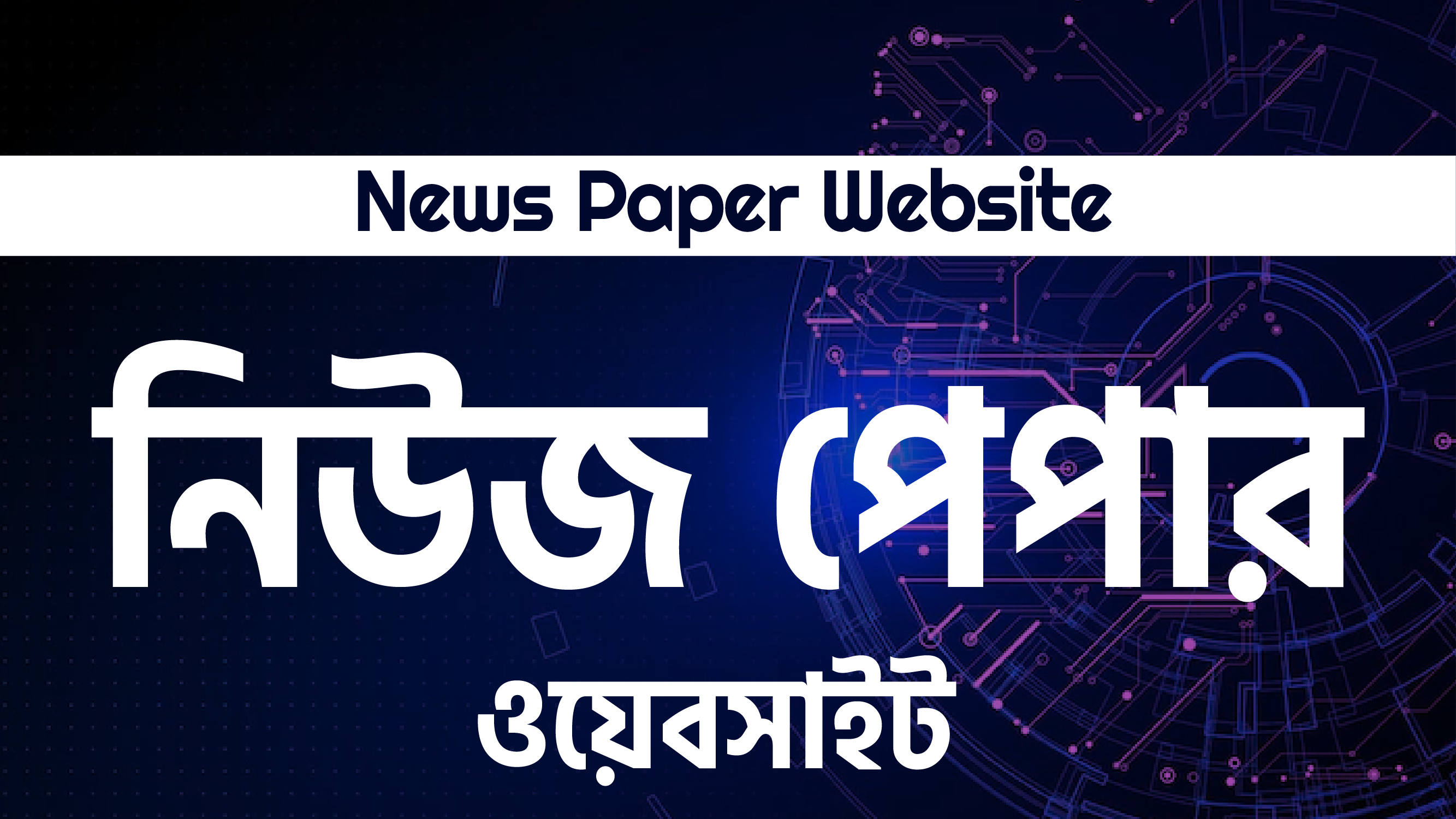 News Paper Website