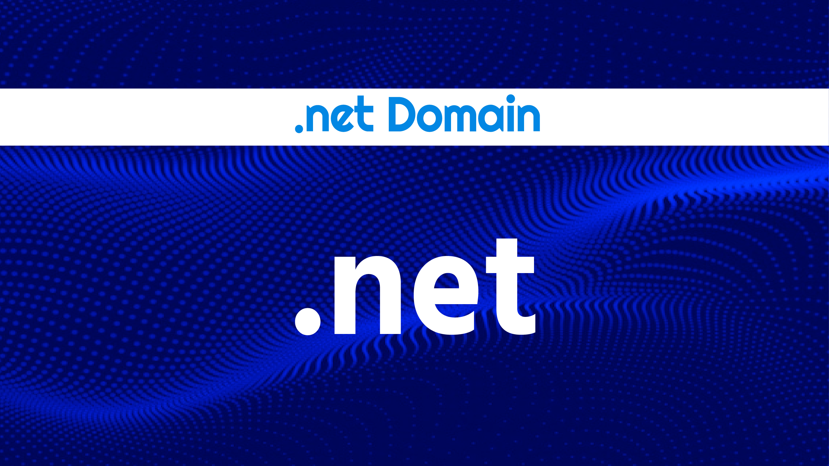 .net Domain