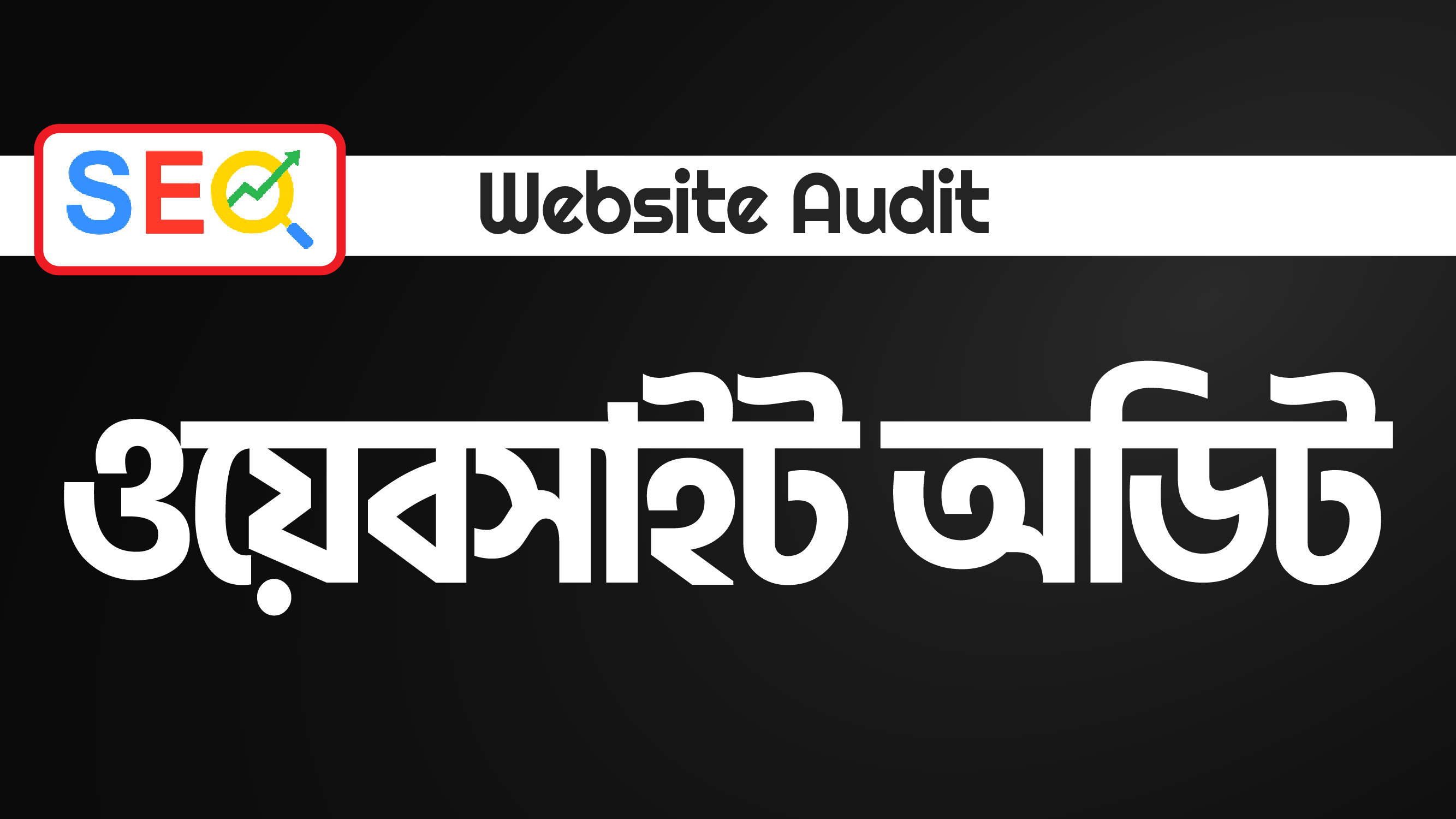 Website Audit